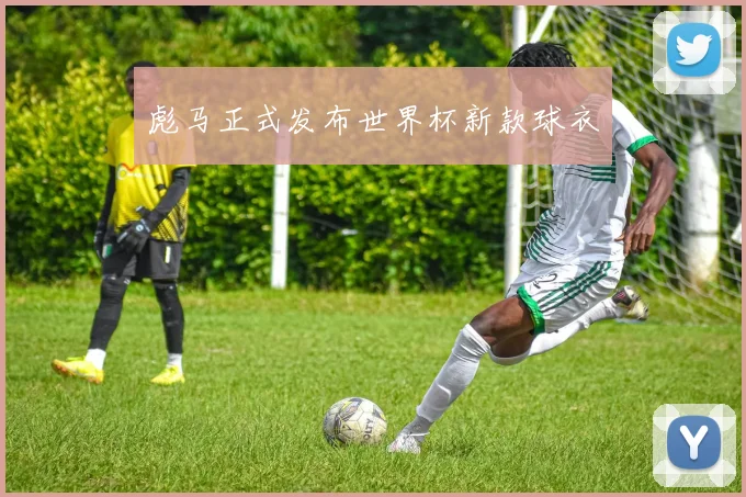 彪马正式发布世界杯新款球衣